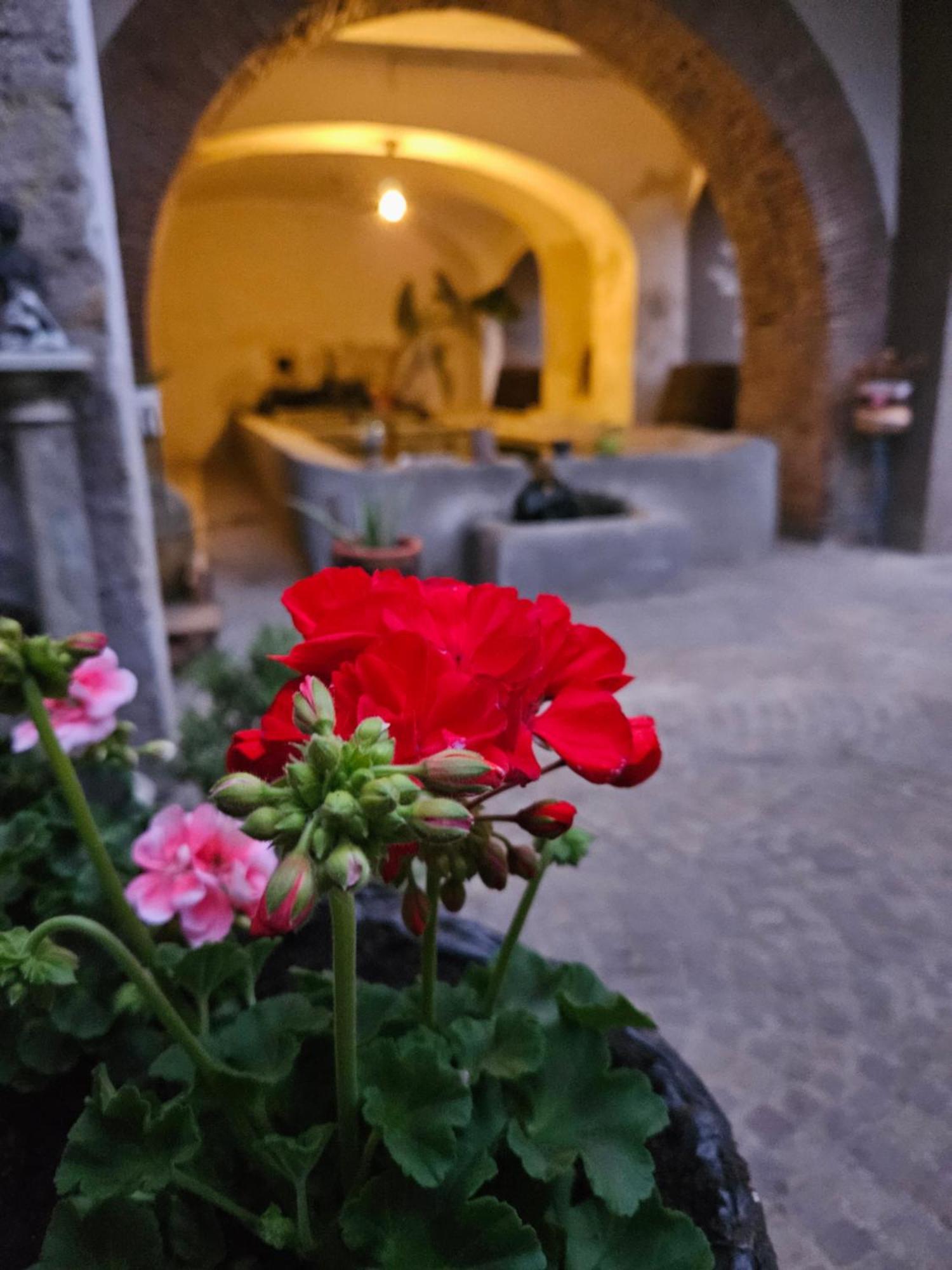 L' Antico Lavatoio Bed and Breakfast Rignano Flaminio Eksteriør billede