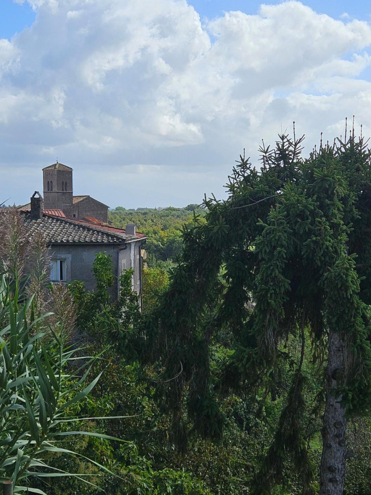 L' Antico Lavatoio Bed and Breakfast Rignano Flaminio Eksteriør billede